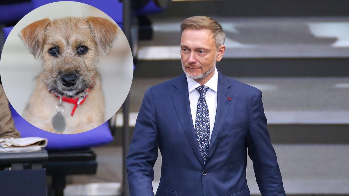 Christian Lindner überfährt Hund eines Filmproduzenten